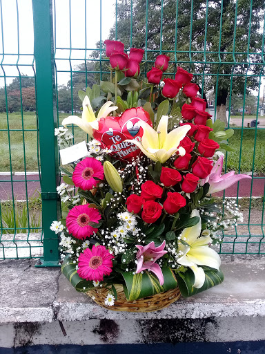 Floreria Tulipan – Villahermosa