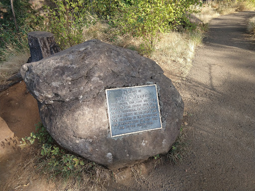 Tourist Attraction «Fairy Falls», reviews and photos, Wahkeena Trail #420, Corbett, OR 97019, USA