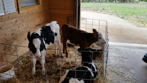 History Museum «OIiver Kelley Farm», reviews and photos, 15788 Kelly Farm Rd NW, Elk River, MN 55330, USA