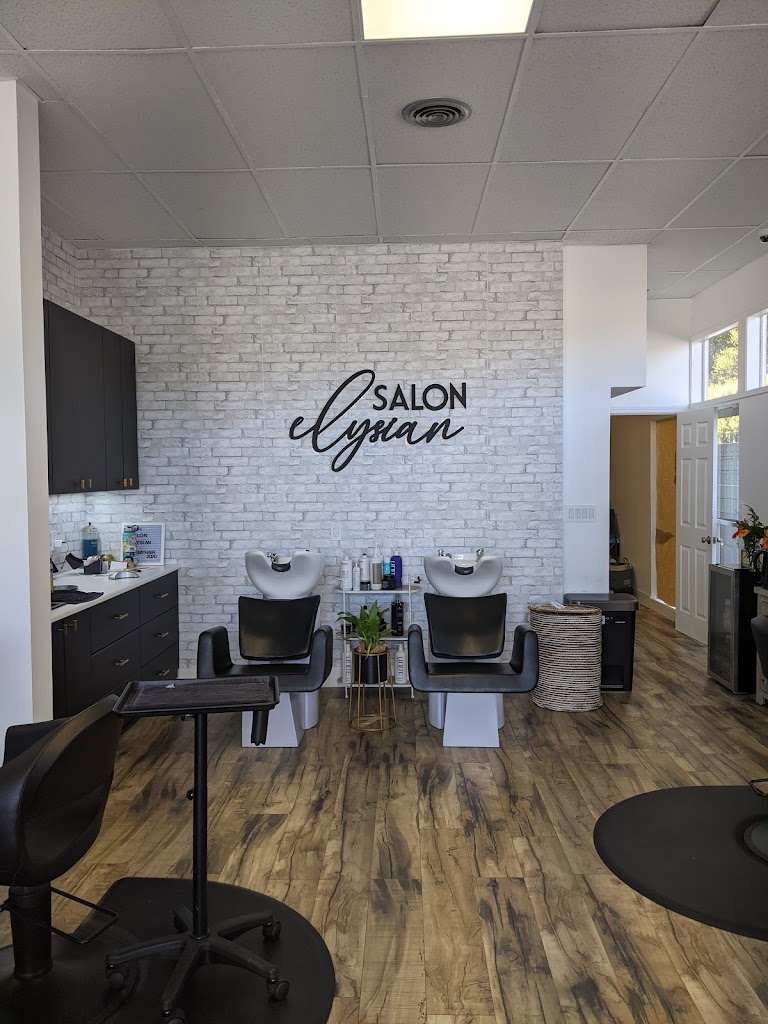 Elysian Salon 94002