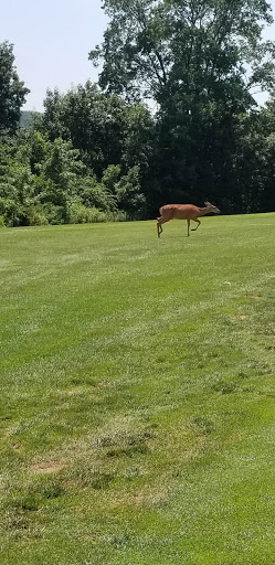 Golf Course «Norvelt Golf Club», reviews and photos, 168 Holly Pl, Mt Pleasant, PA 15666, USA