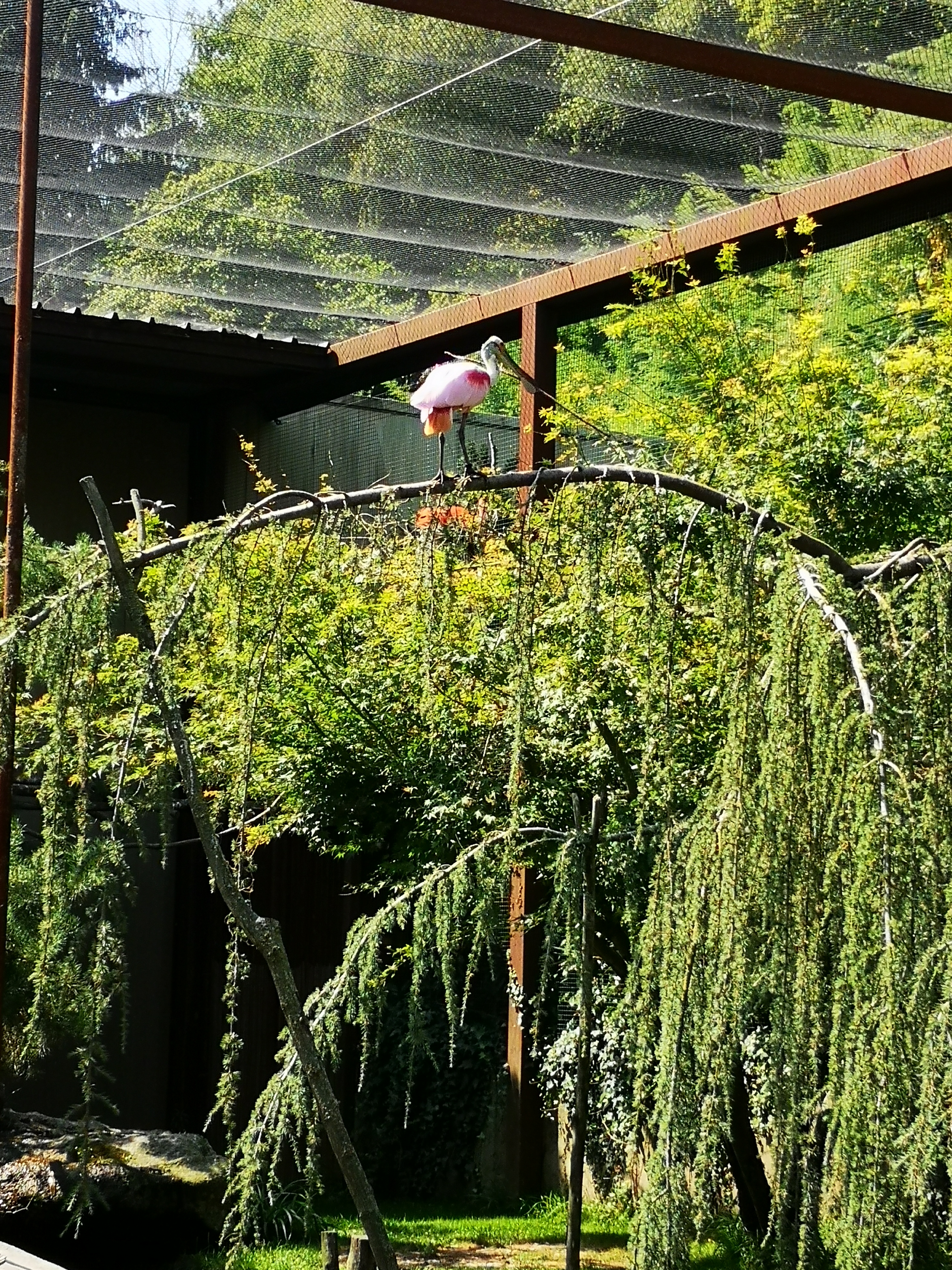 Photo n° 3 de l'avis de Léonie. fait le 26/08/2023 à 20:22