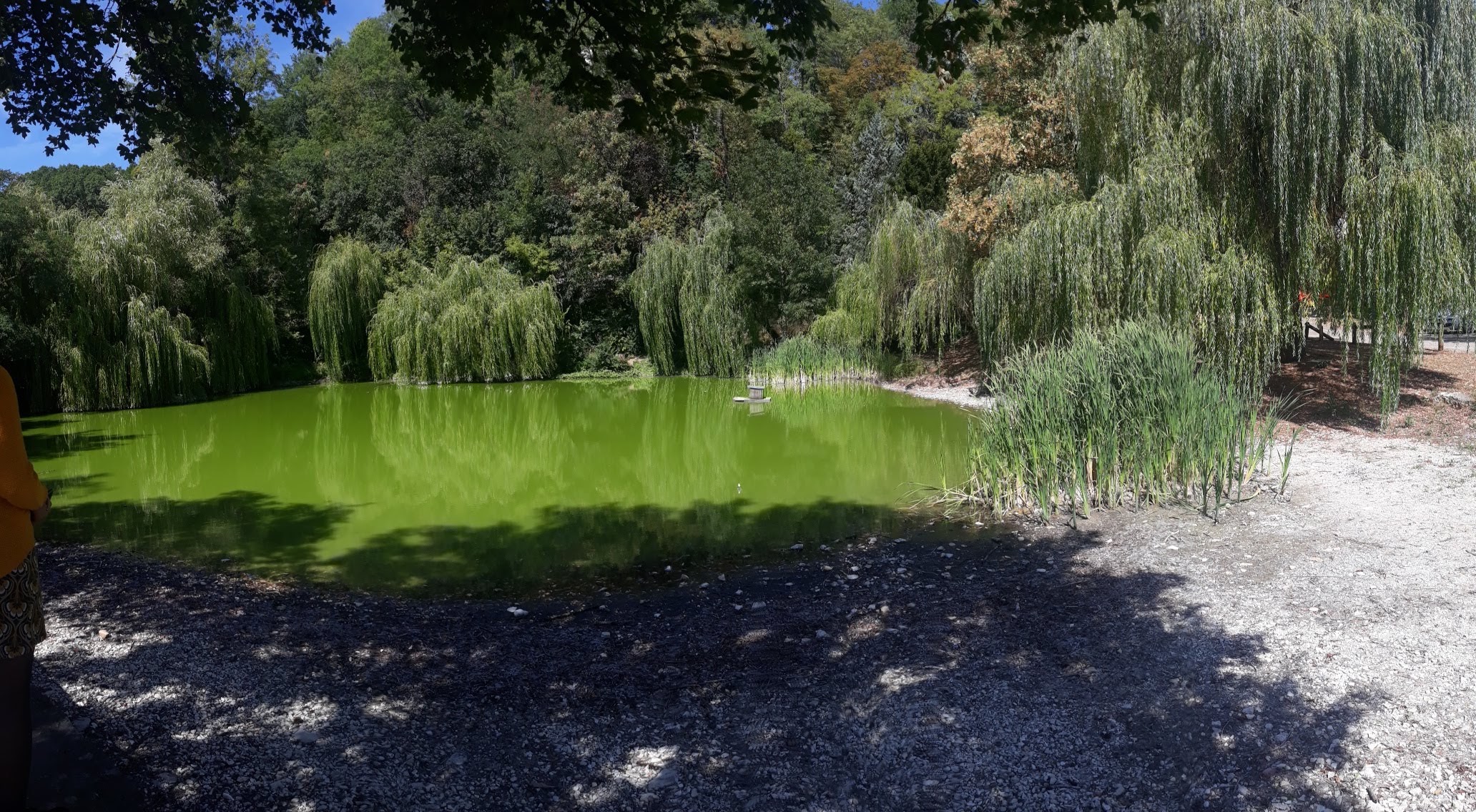 Photo n° 6 de l'avis de Singh.a fait le 30/08/2018 à 19:19