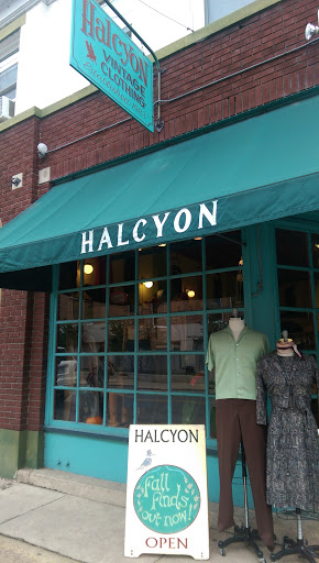 Halcyon Vintage Clothing, 117 N Robinson St, Richmond, VA 23220, USA, 