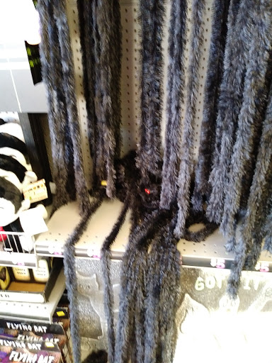 Dollar Store «Dollar Tree», reviews and photos, 52 Rockland Plaza, Nanuet, NY 10954, USA