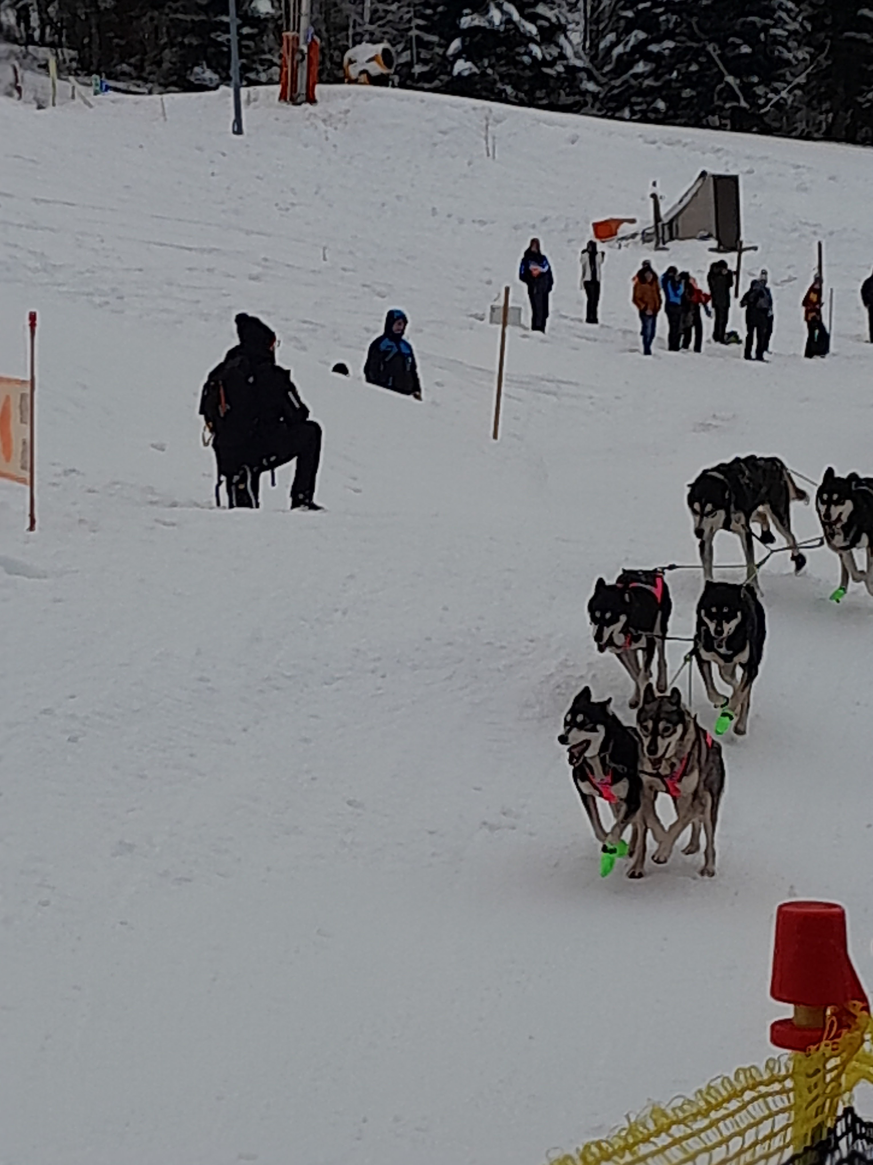 Photo n° 2 de l'avis de Bruno.a fait le 17/01/2024 à 13:08