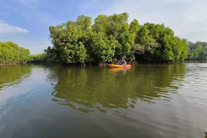 Zone 51 Kodi Kayak Point image