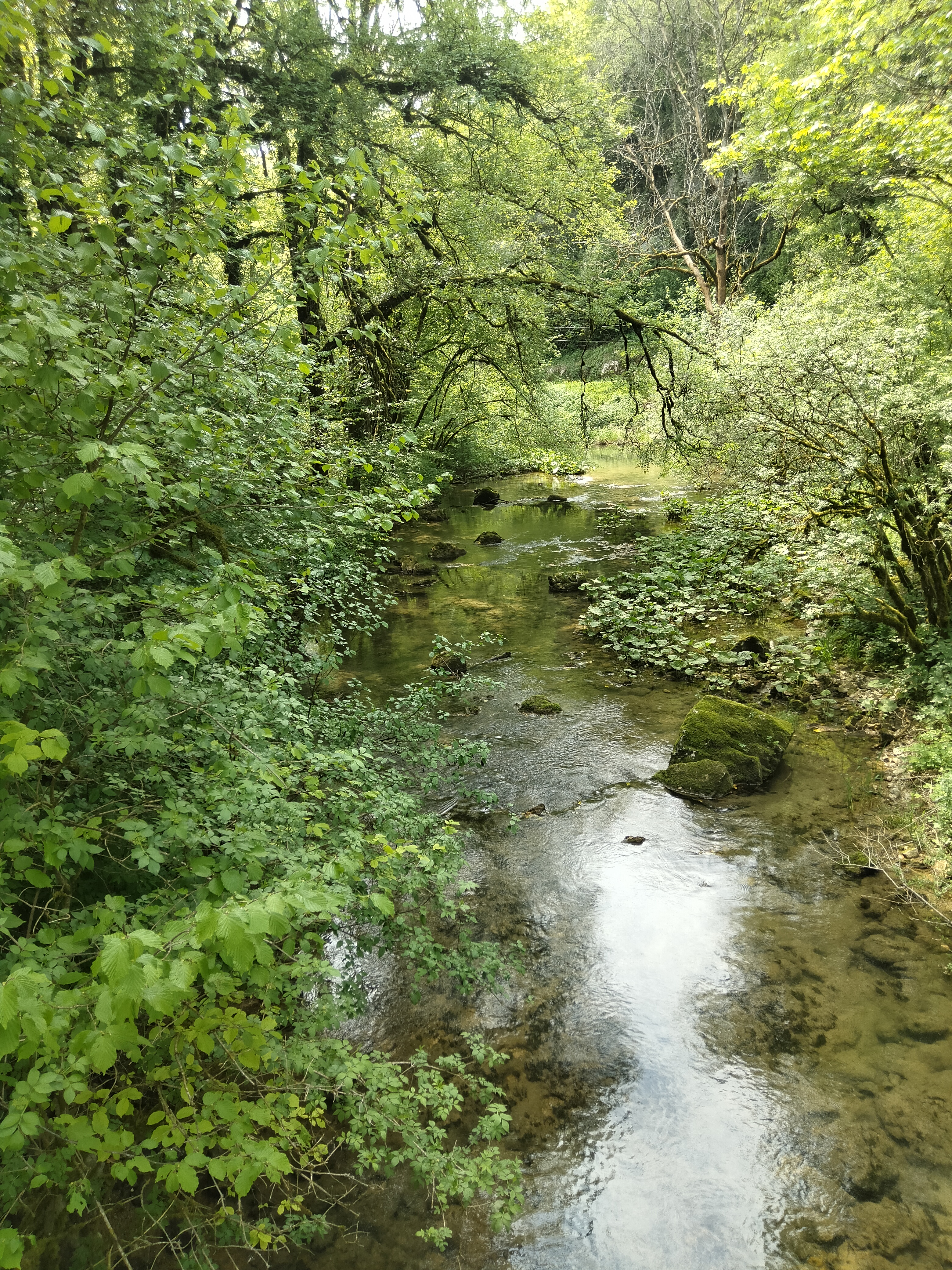 Photo n° 2 de l'avis de Pascal.a fait le 12/05/2022 à 16:58