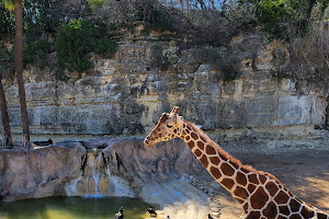 Brackenridge Park