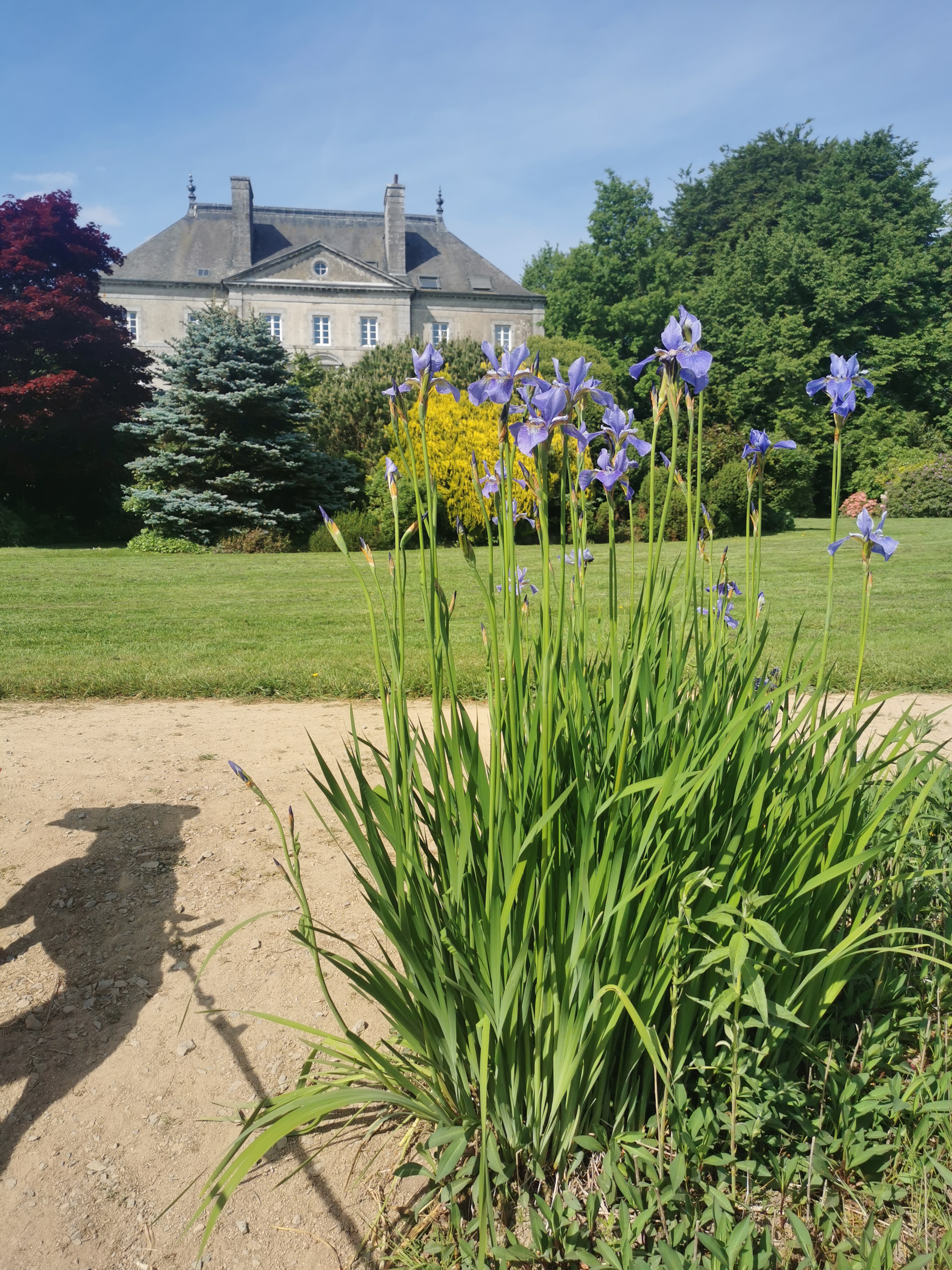Photo n° 1 de l'avis de Mélissa.e fait le 15/05/2022 à 12:50