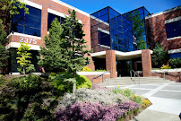 Commonwealth Real Estate Services