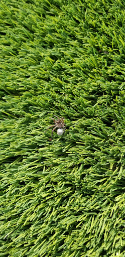 Park «Central City Park», reviews and photos, 36601 Ford Rd, Westland, MI 48185, USA