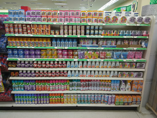 Dollar Store «Dollar Tree», reviews and photos, 5110 Pennell Rd, Media, PA 19063, USA