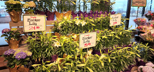 Supermarket «Nino Salvaggio International», reviews and photos, 17496 Hall Rd, Charter Twp of Clinton, MI 48038, USA