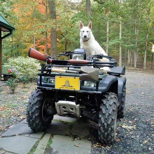 Motorcycle Dealer «Ridersville Cycle», reviews and photos, 75 Good Times Dr, Berkeley Springs, WV 25411, USA