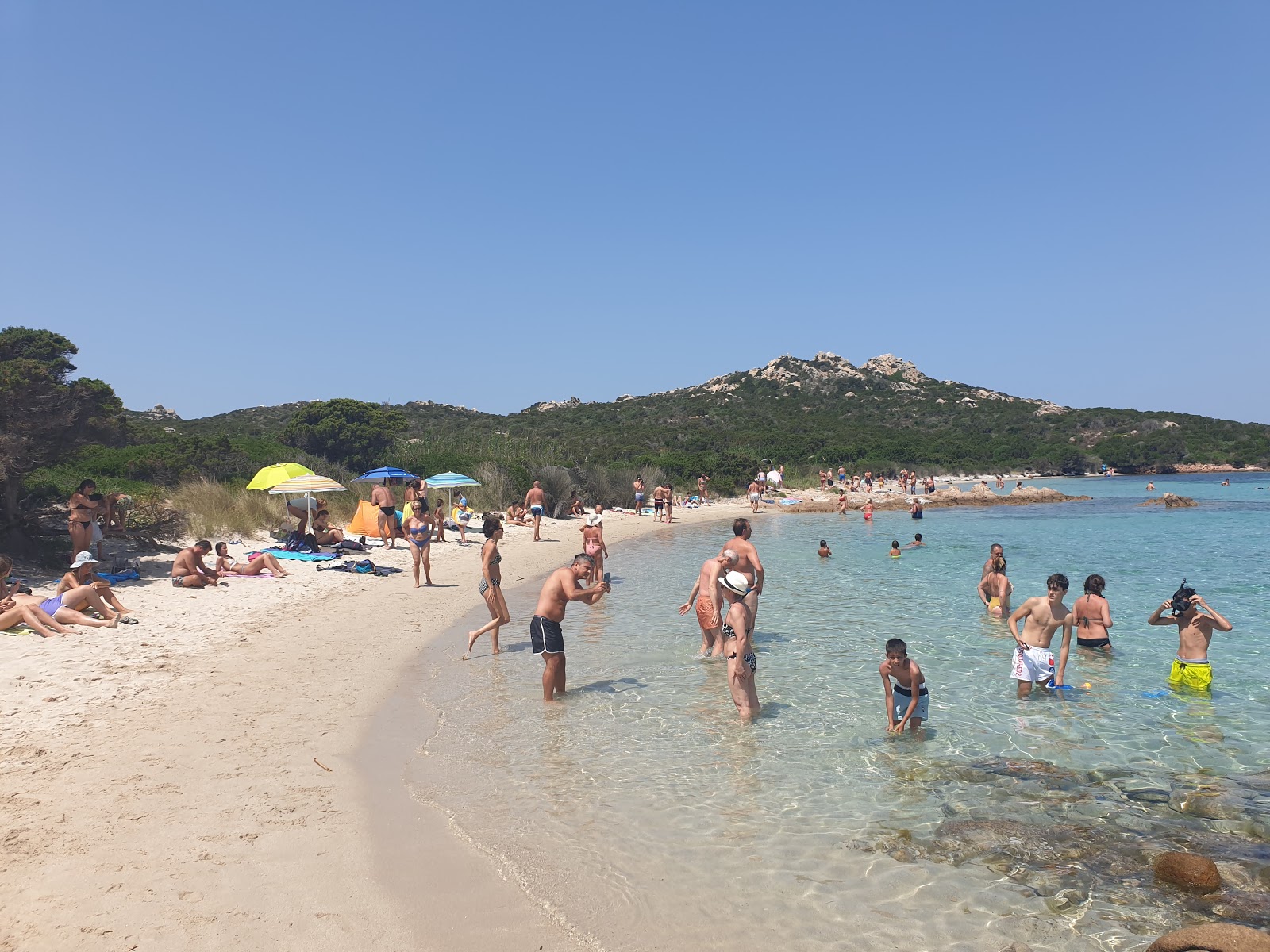 Spiaggia del Cavaliere'in fotoğrafı vahşi alan