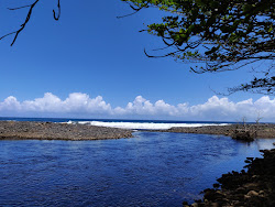 Waimanu Valley'in fotoğrafı vahşi alan