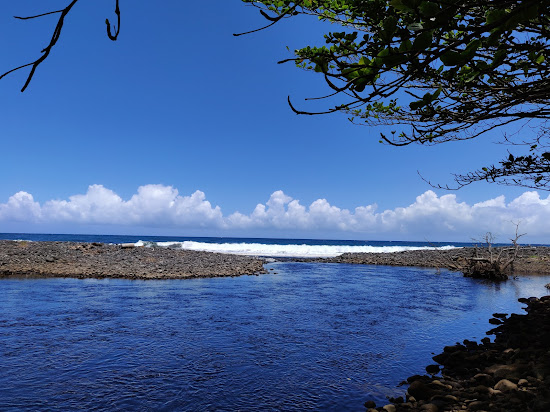 Waimanu Valley