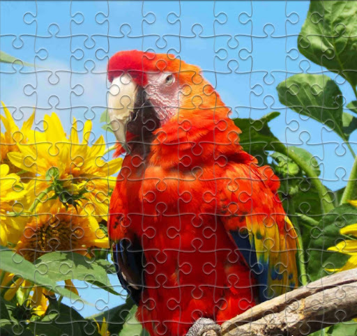 American Restaurant «Cracker Barrel Old Country Store», reviews and photos, 6941 Charlotte Pike, Nashville, TN 37209, USA