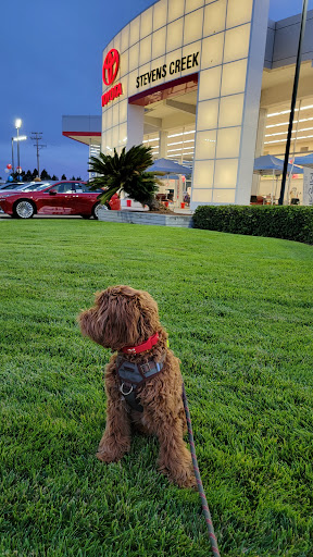 Used Car Dealer «Stevens Creek Toyota Certified Used Cars», reviews and photos, 380 Kiely Blvd, San Jose, CA 95129, USA