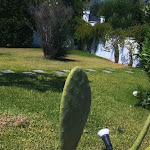 Photo n°3 de l'avis de YOUNES.A fait le 23/07/2022 à 10:22 sur le  Tenuta Centoporte - Resort Hotel à Giurdignano