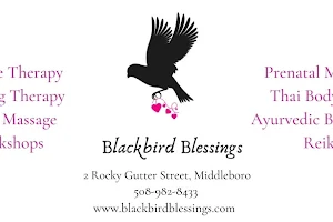 Blackbird Blessings image
