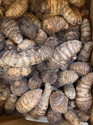 Grocery Store «Asian Market», reviews and photos, 1043 Pedigo Way # 8, Bowling Green, KY 42103, USA