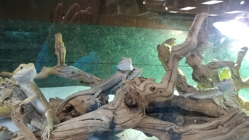 Pet Store «Zookeeper Exotics», reviews and photos, 9012 Research Blvd, Austin, TX 78758, USA