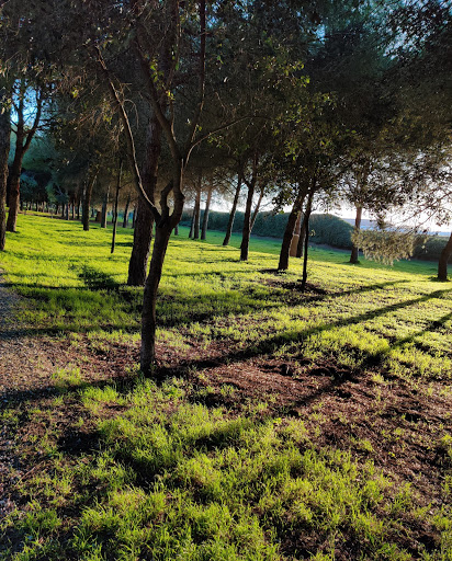 Parque Infanta Elena