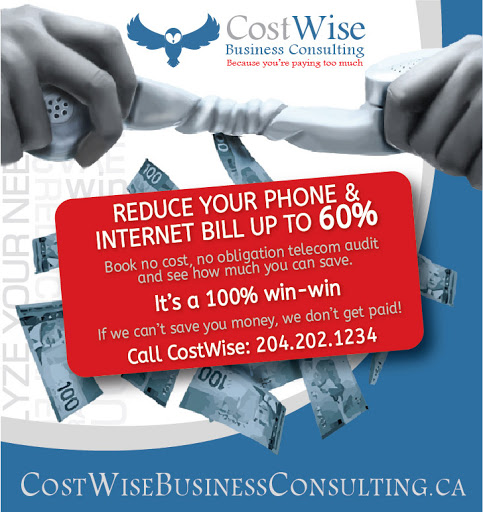 CostWise Business Consulting