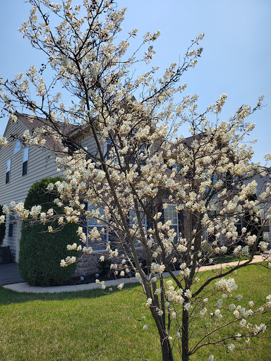 Park «Gough Park», reviews and photos, 9300 Honeygo Blvd, Perry Hall, MD 21128, USA