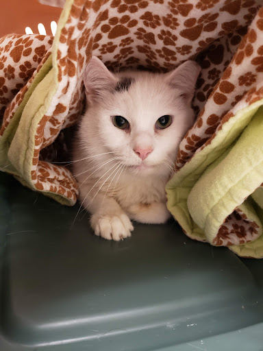 3787 Woodridge Boulevard, Fairfield, OH 45014, USA