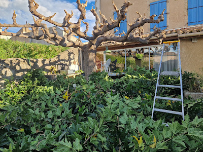 CPT services à Cazouls-lès-Béziers