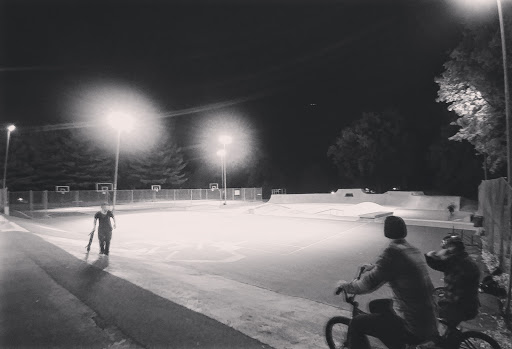 Albany Bluebanks Skatepark. image 4