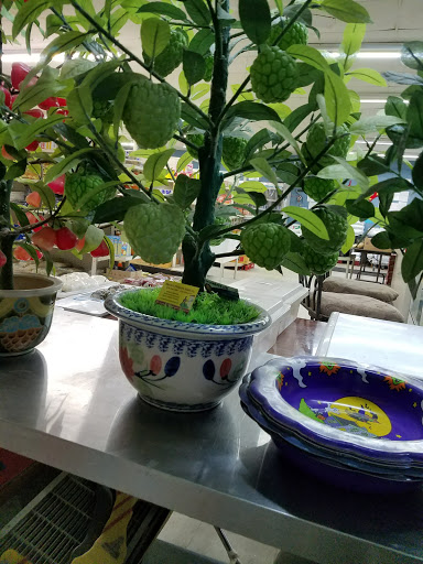 Grocery Store «Vietnamese Market», reviews and photos, 210 Atlanta Hwy # 4, Gainesville, GA 30501, USA