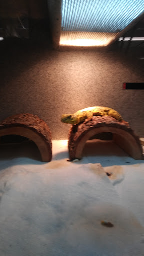 Pet Supply Store «Pet Bazaar», reviews and photos, 490 FL-436, Casselberry, FL 32707, USA