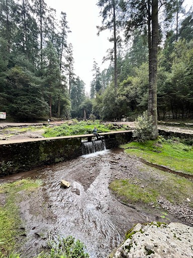 Desierto de los Leones