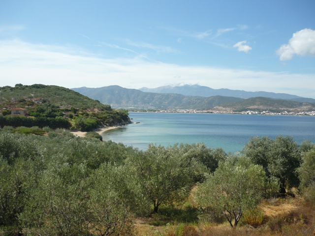 Elaikos Extra Virgin Olive Oil Ανοιχτές ώρες