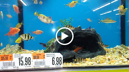 Pet Supply Store «Pet Supplies Plus», reviews and photos, 1764 Tilden Ridge Dr, Hamburg, PA 19526, USA