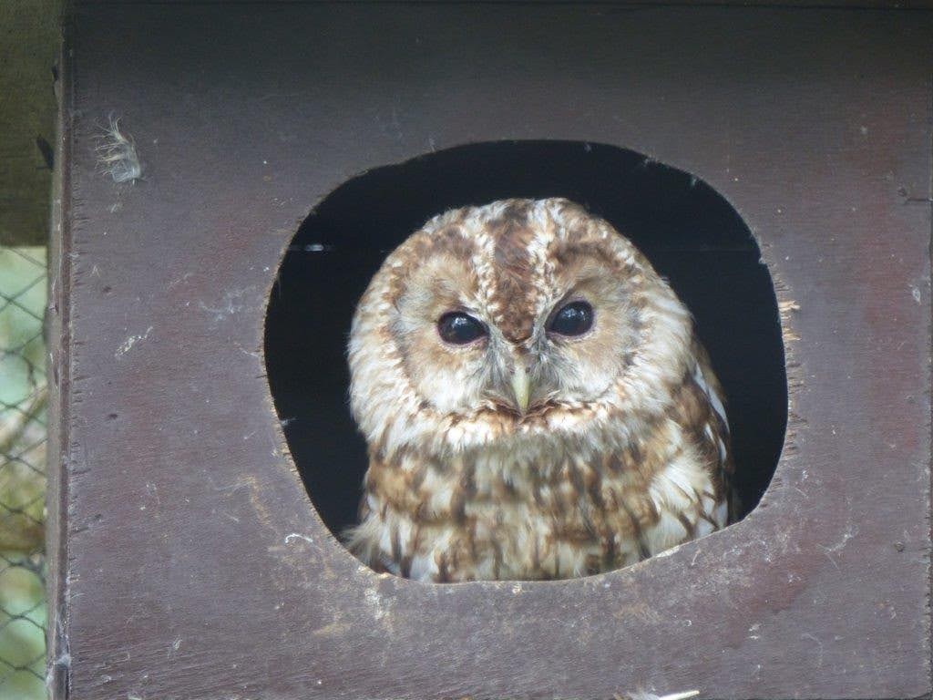 Photo n° 1 de l'avis de Nathalie.. fait le 17/08/2022 à 20:25