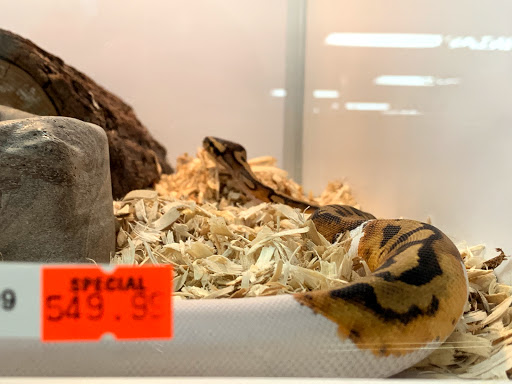 Pet Store «Pets & Such», reviews and photos, 3680 3500 S, West Valley City, UT 84120, USA