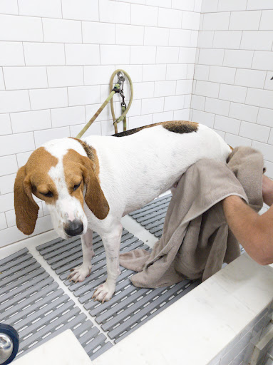 Pet Supply Store «Northside Grange», reviews and photos, 4116 Hamilton Ave, Cincinnati, OH 45223, USA