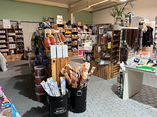 Pfälzer Fellnase unter Bad Dürkheim, 