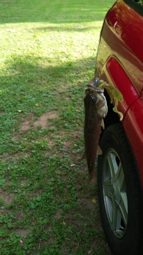 Nature Preserve «Shannondale Springs Wildlife Management Area», reviews and photos, Co Rte 9/5, Harpers Ferry, WV 25425, USA