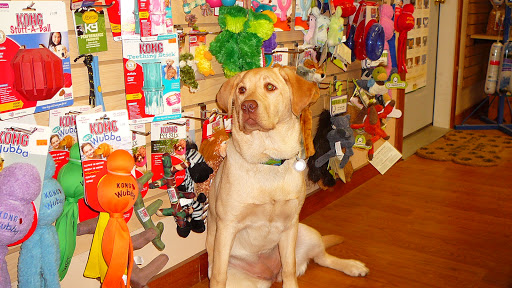 Pet Supply Store «The Natural Pet Center At Ireland Corners», reviews and photos, 609 NY-208, Gardiner, NY 12525, USA