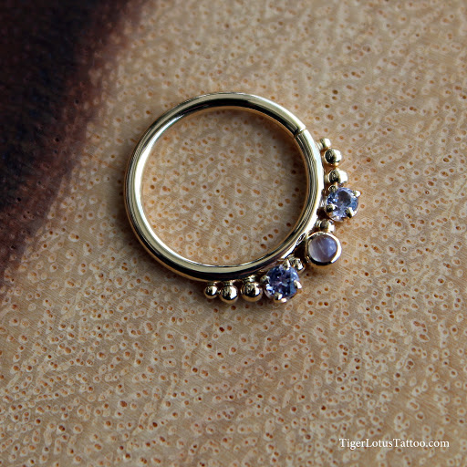 Tattoo Shop «Tiger Lotus Tattoo and Piercing», reviews and photos, 17230 S Tamiami Trail, Fort Myers, FL 33908, USA