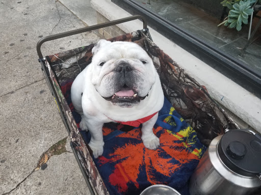 Explore captain america tattoo ideas, creative tattoo ideas in Philadelphia, available at Infinite Body Piercing