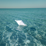 Photo n°4 de l'avis de Luca.a fait le 08/08/2019 à 12:56 sur le  Hotel Club Astor à Ugento