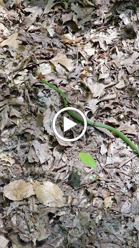 National Park «Prince William Forest Park», reviews and photos, 18170 Park Entrance Rd, Triangle, VA 22172, USA