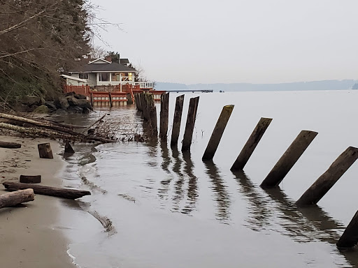 State Park «Dash Point State Park», reviews and photos, 5700 SW Dash Point Rd, Federal Way, WA 98023, USA